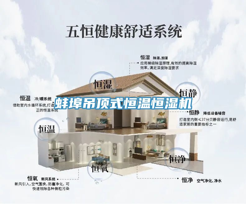蚌埠吊頂式恒溫恒濕機