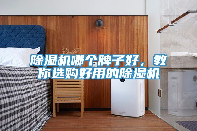 除濕機(jī)哪個(gè)牌子好，教你選購(gòu)好用的除濕機(jī)