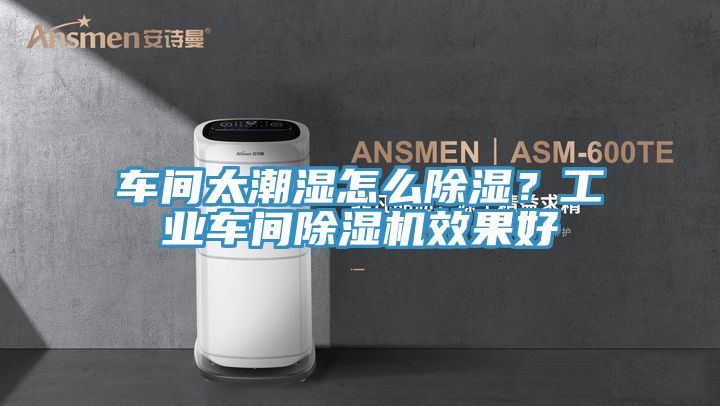 車間太潮濕怎么除濕？工業(yè)車間除濕機(jī)效果好