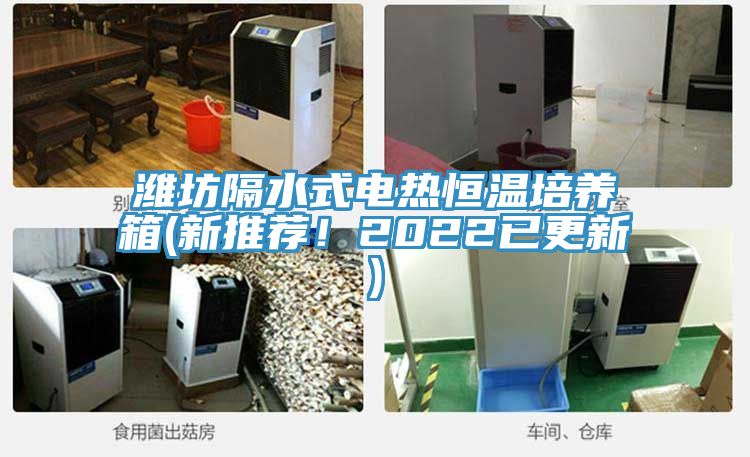 濰坊隔水式電熱恒溫培養(yǎng)箱(新推薦！2022已更新)