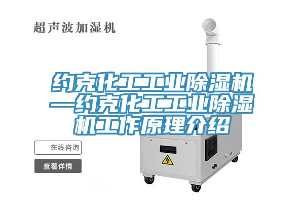 約克化工工業(yè)除濕機—約克化工工業(yè)除濕機工作原理介紹