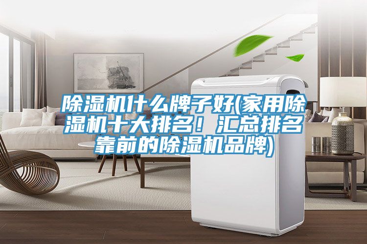 除濕機(jī)什么牌子好(家用除濕機(jī)十大排名！匯總排名靠前的除濕機(jī)品牌)