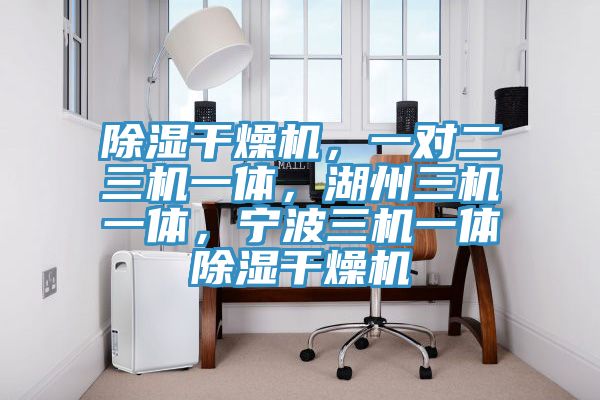 除濕干燥機(jī)，一對(duì)二三機(jī)一體，湖州三機(jī)一體，寧波三機(jī)一體除濕干燥機(jī)