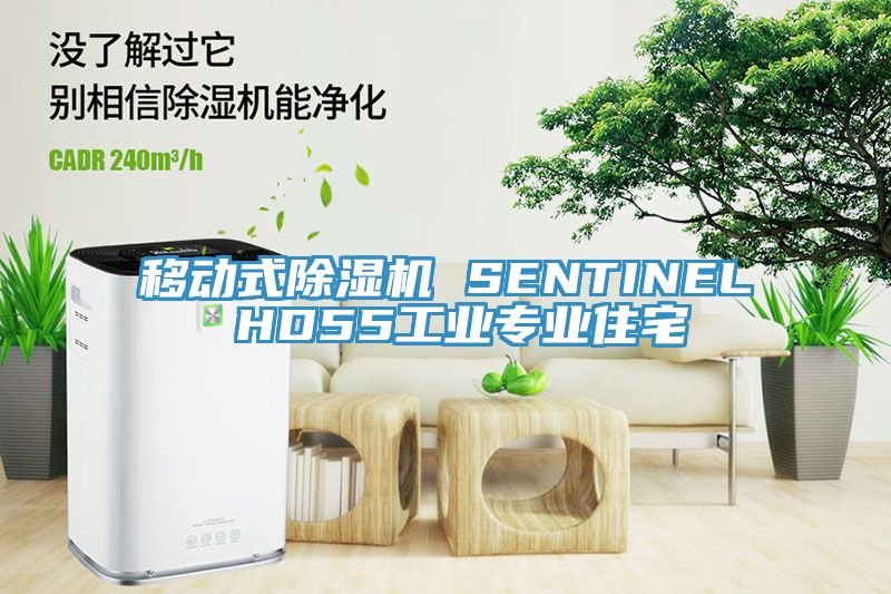 移動式除濕機(jī) SENTINEL HD55工業(yè)專業(yè)住宅