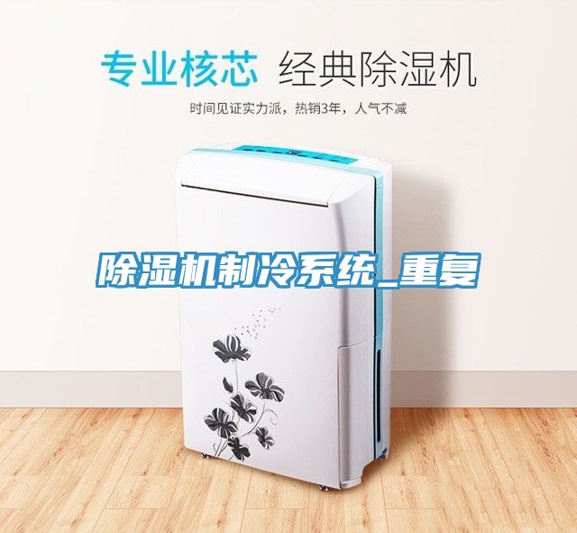 除濕機制冷系統(tǒng)_重復