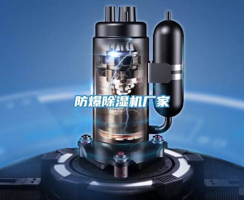 防爆除濕機(jī)廠(chǎng)家