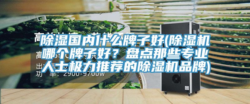 除濕國內(nèi)什么牌子好(除濕機哪個牌子好？盤點那些專業(yè)人士極力推薦的除濕機品牌)
