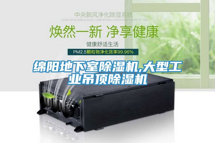 綿陽(yáng)地下室除濕機(jī),大型工業(yè)吊頂除濕機(jī)