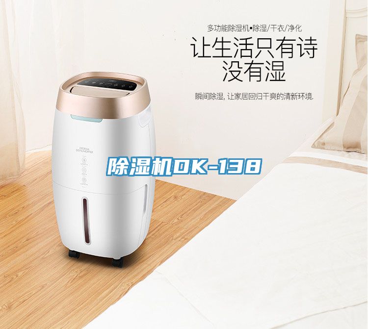 除濕機(jī)DK-138