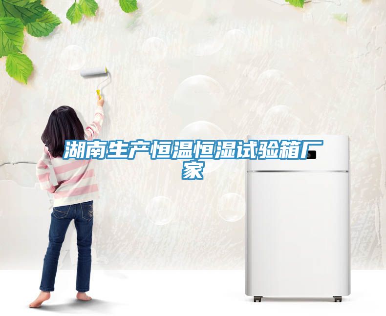 湖南生產(chǎn)恒溫恒濕試驗(yàn)箱廠(chǎng)家