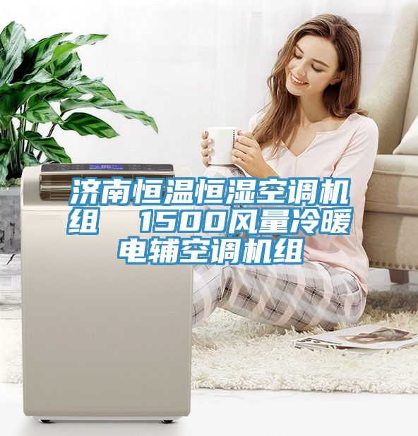 濟南恒溫恒濕空調(diào)機組  1500風(fēng)量冷暖電輔空調(diào)機組