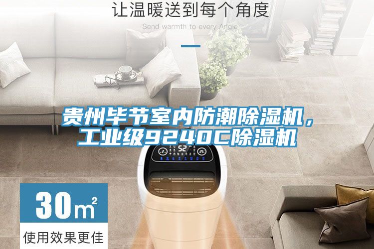 貴州畢節(jié)室內(nèi)防潮除濕機，工業(yè)級9240C除濕機