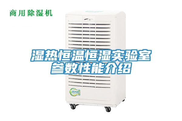 濕熱恒溫恒濕實驗室參數(shù)性能介紹