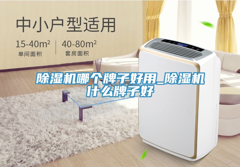 除濕機(jī)哪個牌子好用_除濕機(jī)什么牌子好