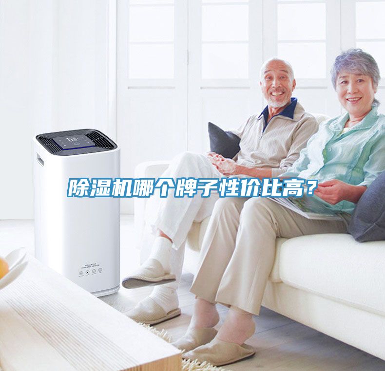 除濕機(jī)哪個(gè)牌子性價(jià)比高？
