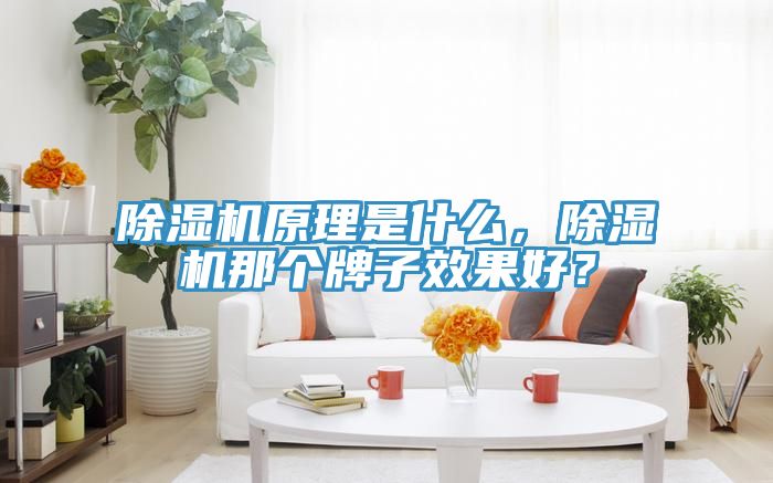 除濕機(jī)原理是什么，除濕機(jī)那個牌子效果好？
