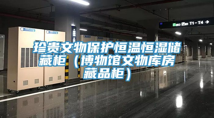 珍貴文物保護(hù)恒溫恒濕儲藏柜（博物館文物庫房藏品柜）