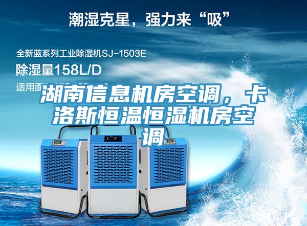 湖南信息機(jī)房空調(diào)，卡洛斯恒溫恒濕機(jī)房空調(diào)