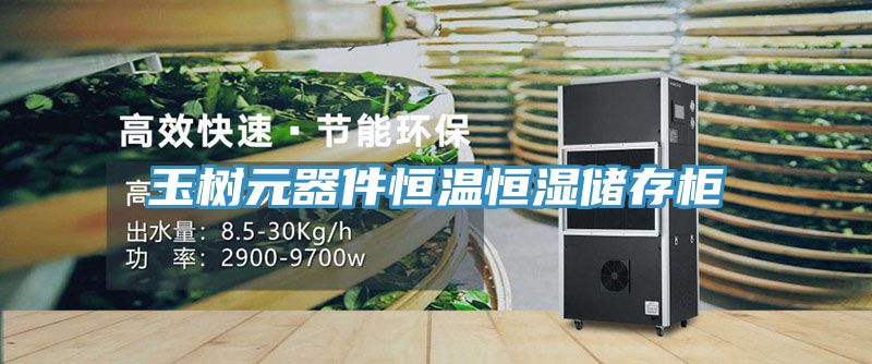 玉樹(shù)元器件恒溫恒濕儲(chǔ)存柜