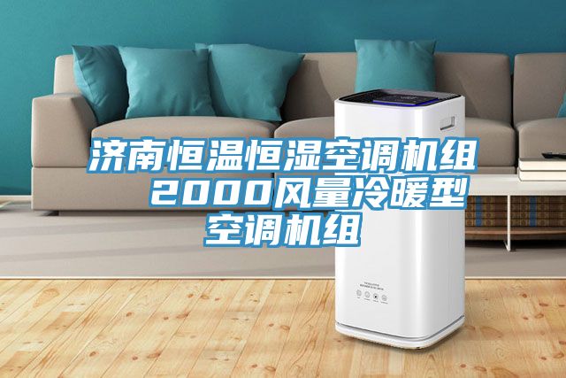濟南恒溫恒濕空調(diào)機組  2000風(fēng)量冷暖型空調(diào)機組