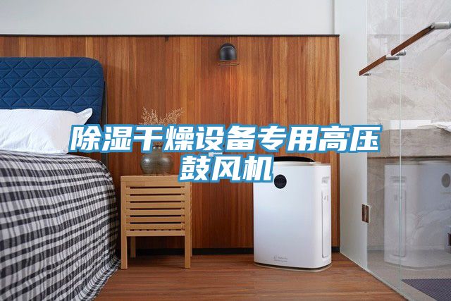 除濕干燥設(shè)備專用高壓鼓風(fēng)機(jī)