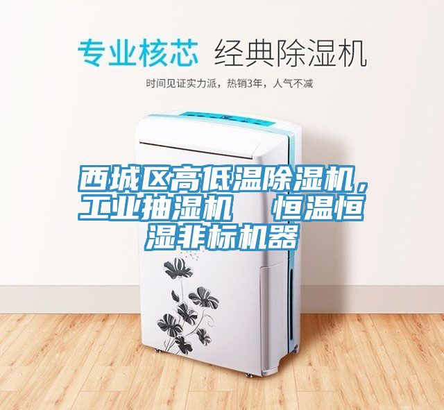 西城區(qū)高低溫除濕機(jī)，工業(yè)抽濕機(jī)  恒溫恒濕非標(biāo)機(jī)器