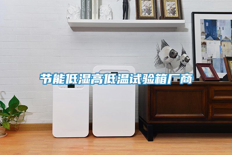 節(jié)能低濕高低溫試驗(yàn)箱廠商