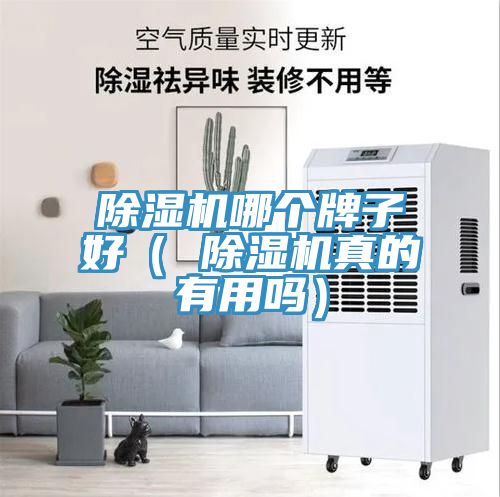 除濕機(jī)哪個牌子好（ 除濕機(jī)真的有用嗎）