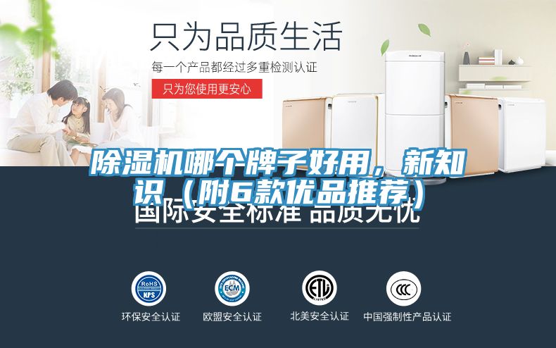 除濕機(jī)哪個牌子好用，新知識（附6款優(yōu)品推薦）