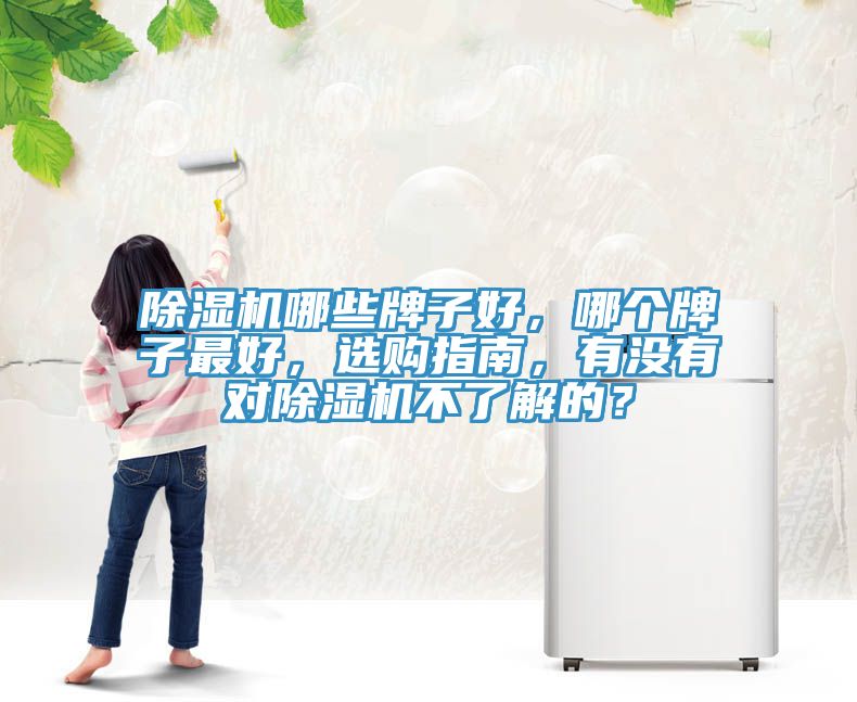 除濕機哪些牌子好，哪個牌子最好，選購指南，有沒有對除濕機不了解的？