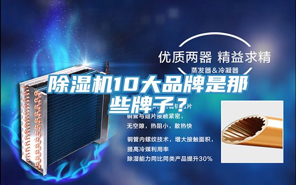 除濕機(jī)10大品牌是那些牌子？