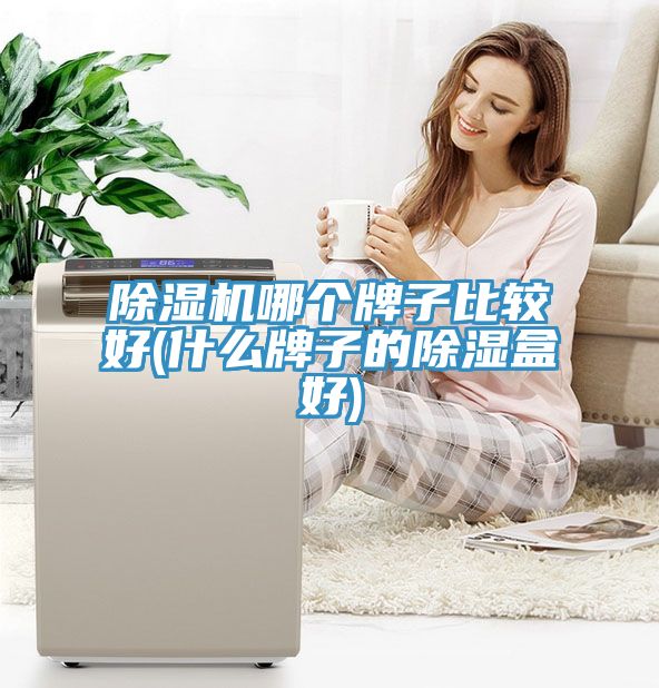 除濕機哪個牌子比較好(什么牌子的除濕盒好)