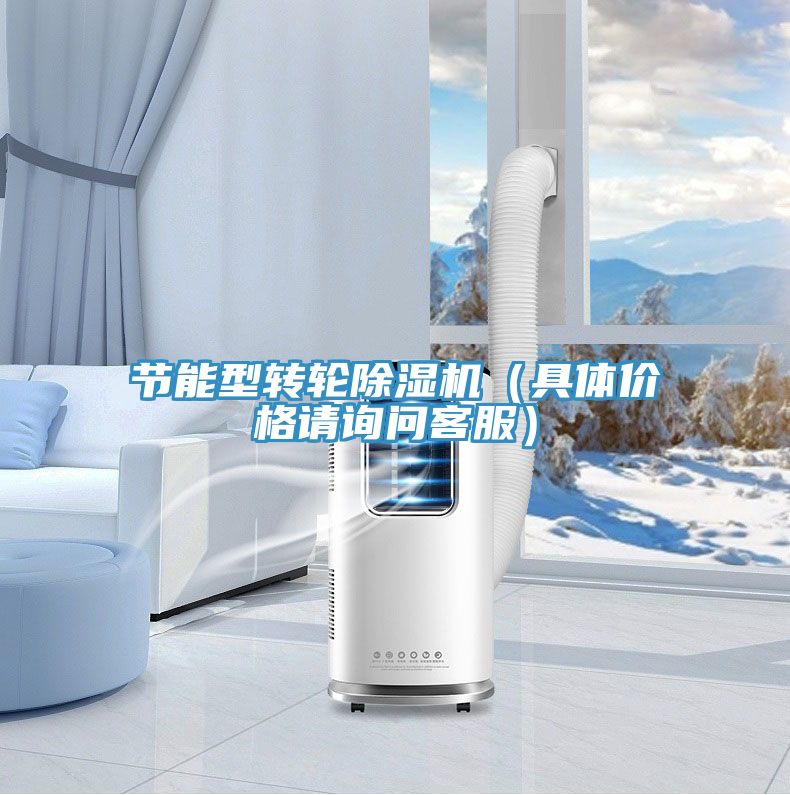 節(jié)能型轉(zhuǎn)輪除濕機(jī)（具體價格請?jiān)儐柨头?></div>
								<div   id=