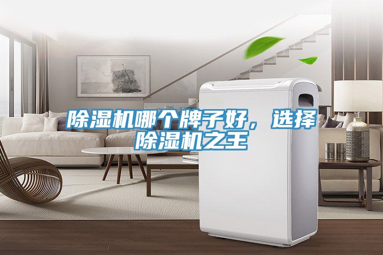 除濕機(jī)哪個(gè)牌子好，選擇除濕機(jī)之王