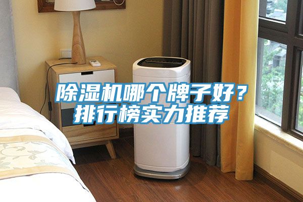 除濕機(jī)哪個(gè)牌子好？排行榜實(shí)力推薦