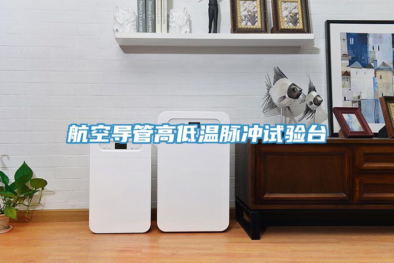 航空導(dǎo)管高低溫脈沖試驗(yàn)臺