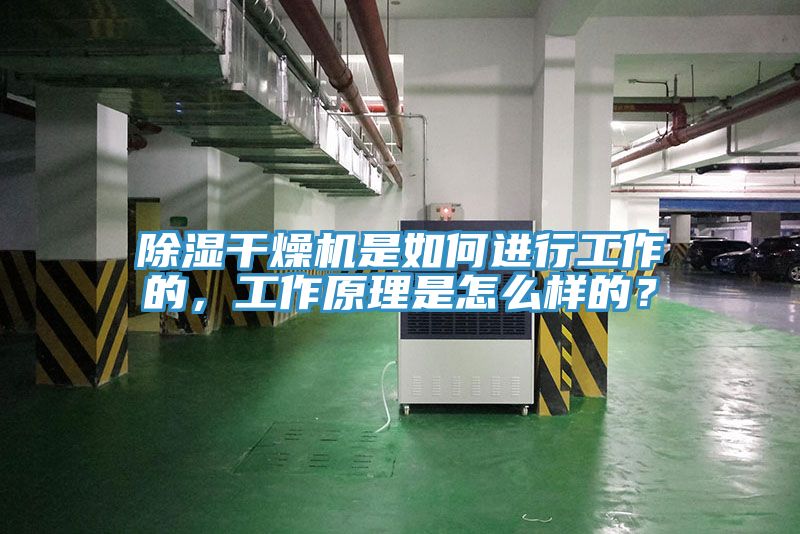 除濕干燥機是如何進行工作的，工作原理是怎么樣的？
