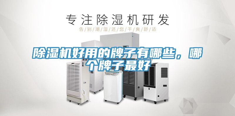 除濕機好用的牌子有哪些，哪個牌子最好