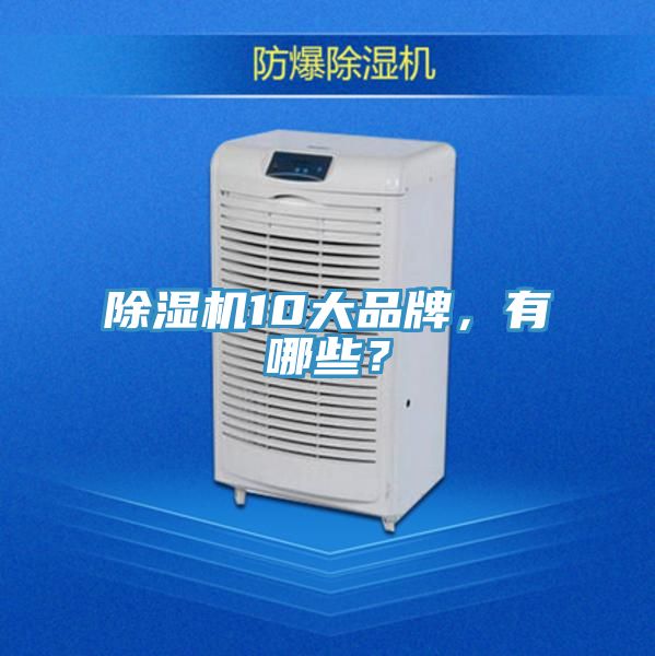 除濕機(jī)10大品牌，有哪些？