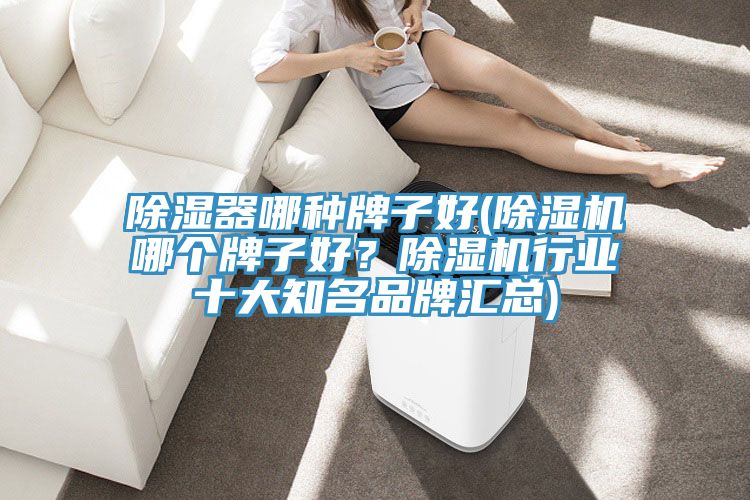 除濕器哪種牌子好(除濕機(jī)哪個(gè)牌子好？除濕機(jī)行業(yè)十大知名品牌匯總)