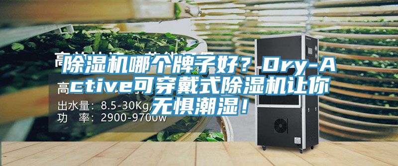 除濕機(jī)哪個(gè)牌子好？Dry-Active可穿戴式除濕機(jī)讓你無(wú)懼潮濕！