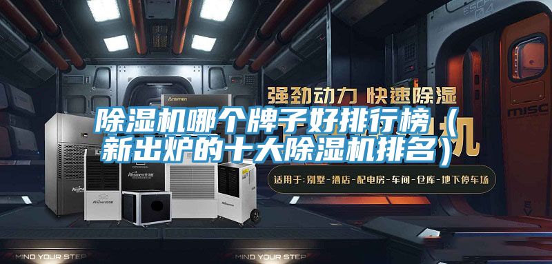 除濕機(jī)哪個牌子好排行榜（新出爐的十大除濕機(jī)排名）