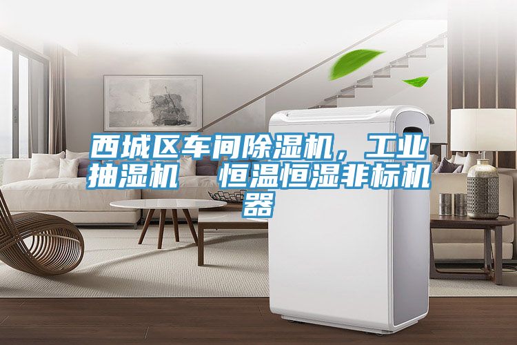 西城區(qū)車間除濕機(jī)，工業(yè)抽濕機(jī)  恒溫恒濕非標(biāo)機(jī)器