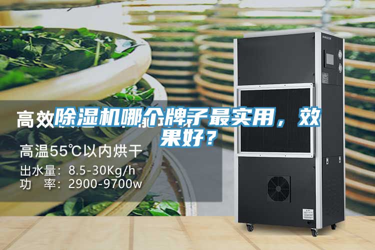 除濕機哪個牌子最實用，效果好？