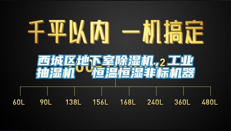 西城區(qū)地下室除濕機(jī)，工業(yè)抽濕機(jī)  恒溫恒濕非標(biāo)機(jī)器
