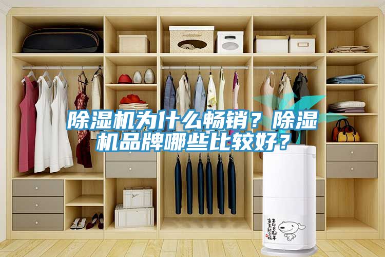 除濕機為什么暢銷？除濕機品牌哪些比較好？