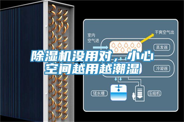 除濕機沒用對，小心空間越用越潮濕