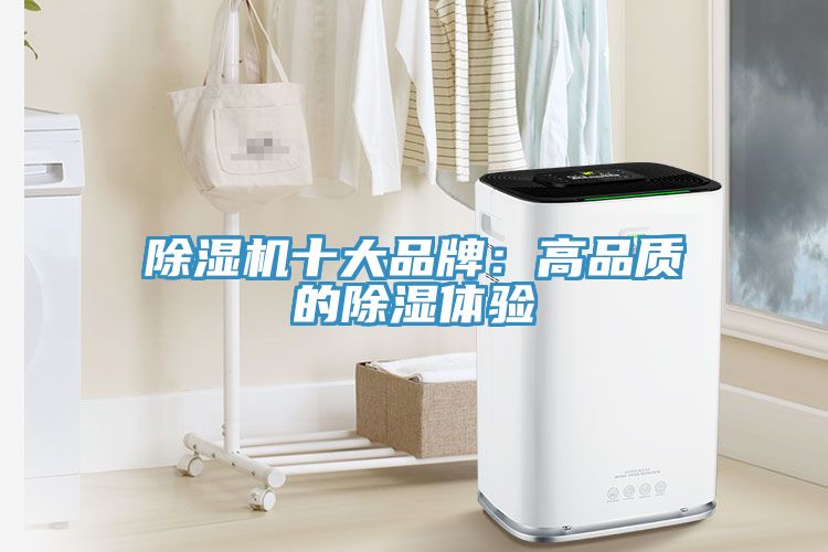 除濕機(jī)十大品牌：高品質(zhì)的除濕體驗(yàn)