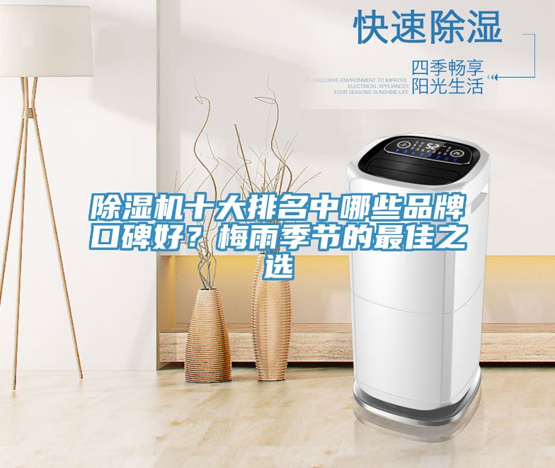 除濕機(jī)十大排名中哪些品牌口碑好？梅雨季節(jié)的最佳之選