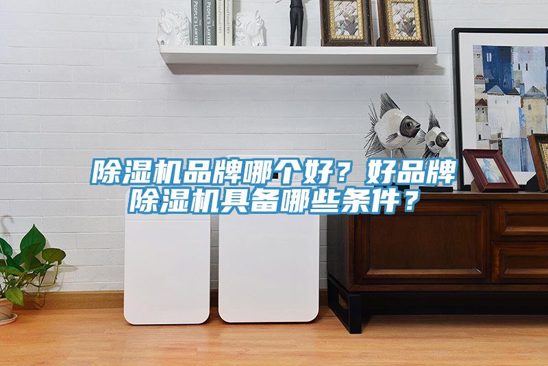 除濕機(jī)品牌哪個好？好品牌除濕機(jī)具備哪些條件？